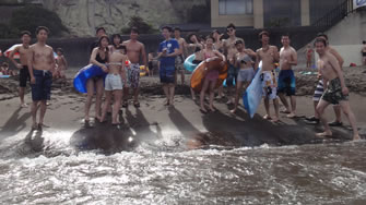 2015年7月ＣＤＣ伊豆ビーチツアー